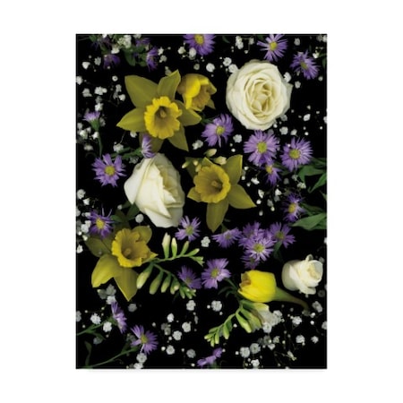 Susan S. Barmon 'Flowers 3' Canvas Art,14x19